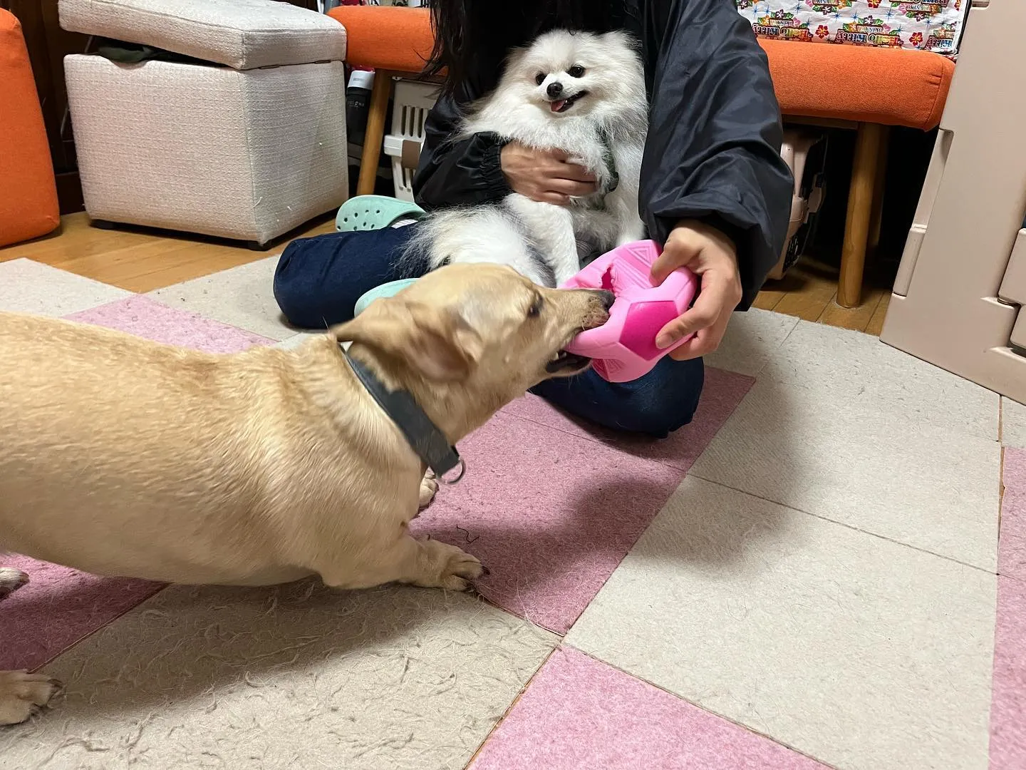 🎾9月のおすすめ商品🏐