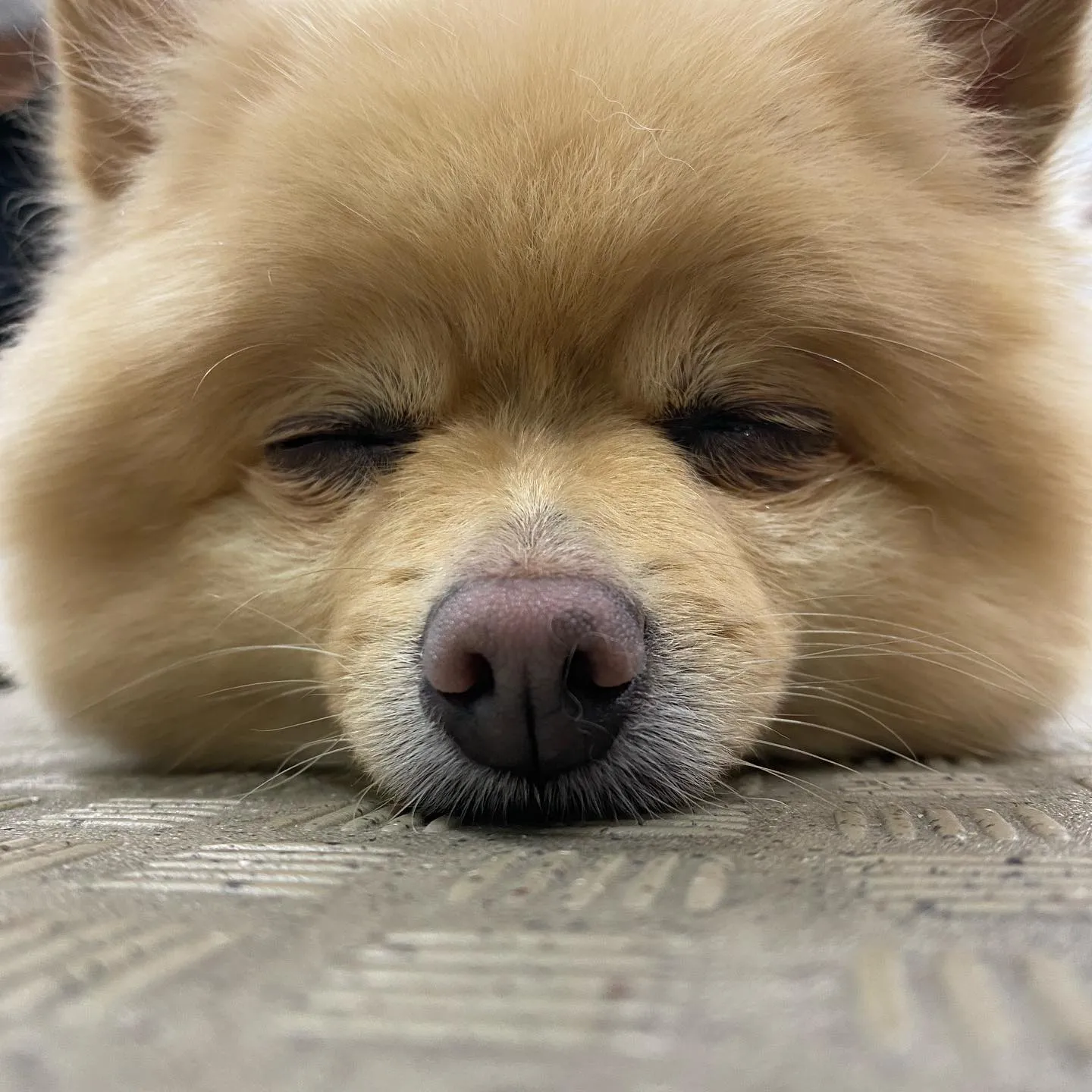 昨日は専門学校dayでした🏫