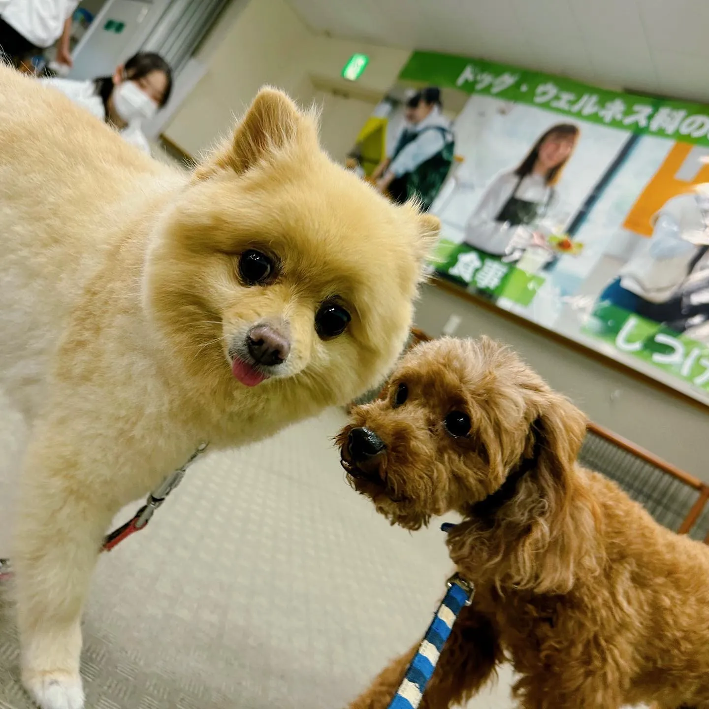 昨日は専門学校dayでした🏫