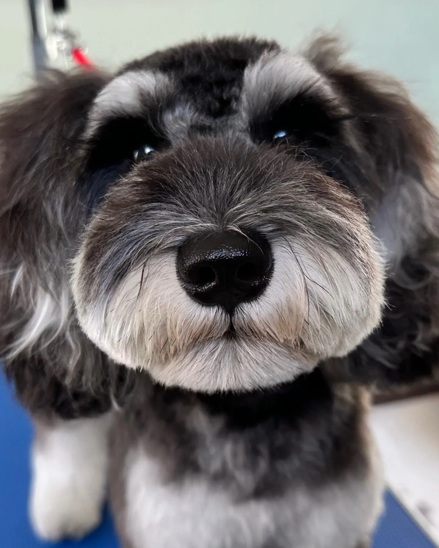 今日で9月も終わりですね🐾