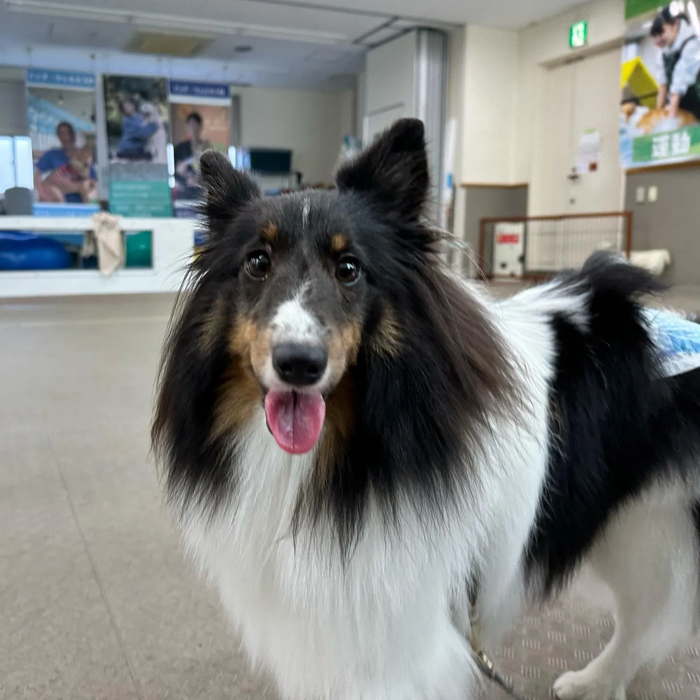 今日は専門学校dayでした🏫