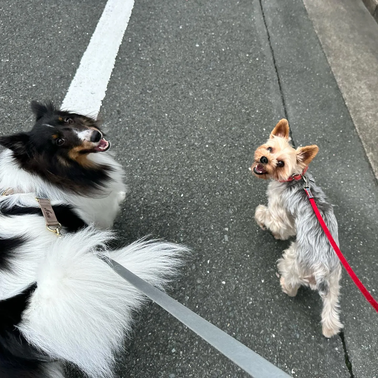 今日は専門学校dayでした🏫