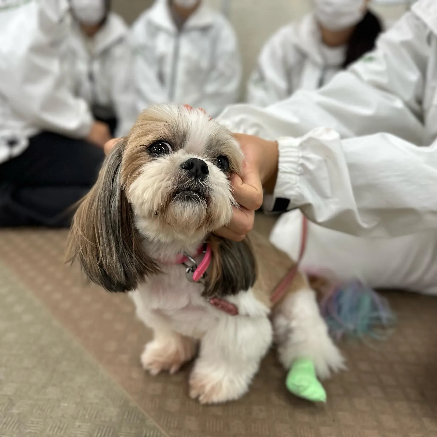 今日は専門学校dayでした❣️