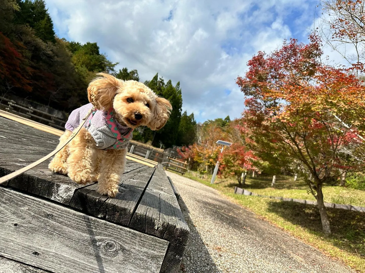 昨日は秋の遠足1日目の開催日でした😊