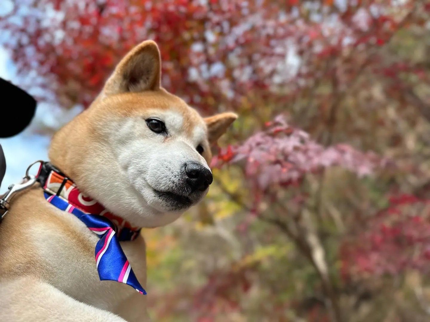 昨日は秋の遠足1日目の開催日でした😊