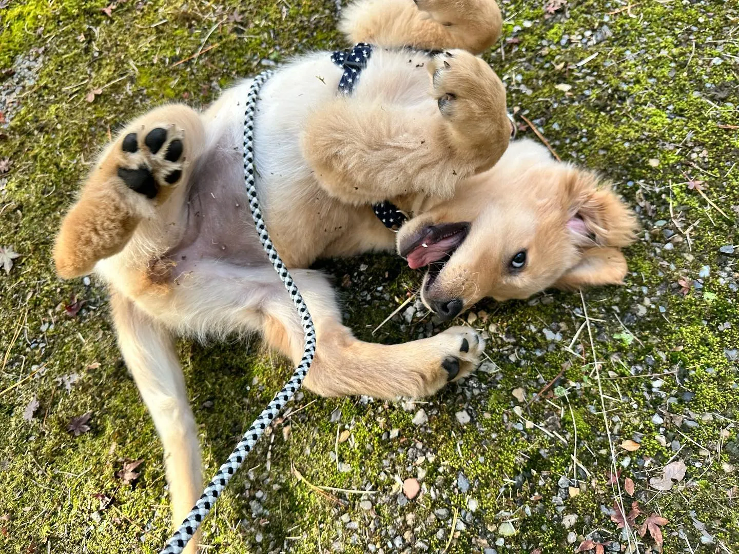 昨日は秋の遠足1日目の開催日でした😊