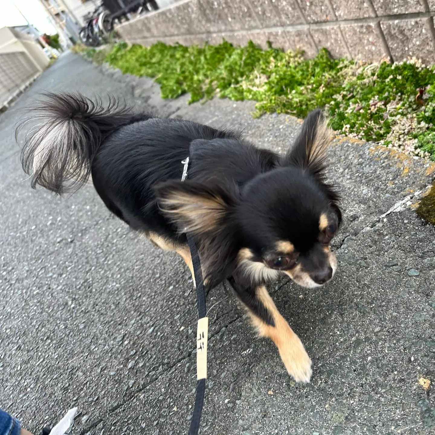 今日は専門学校dayでした🏫