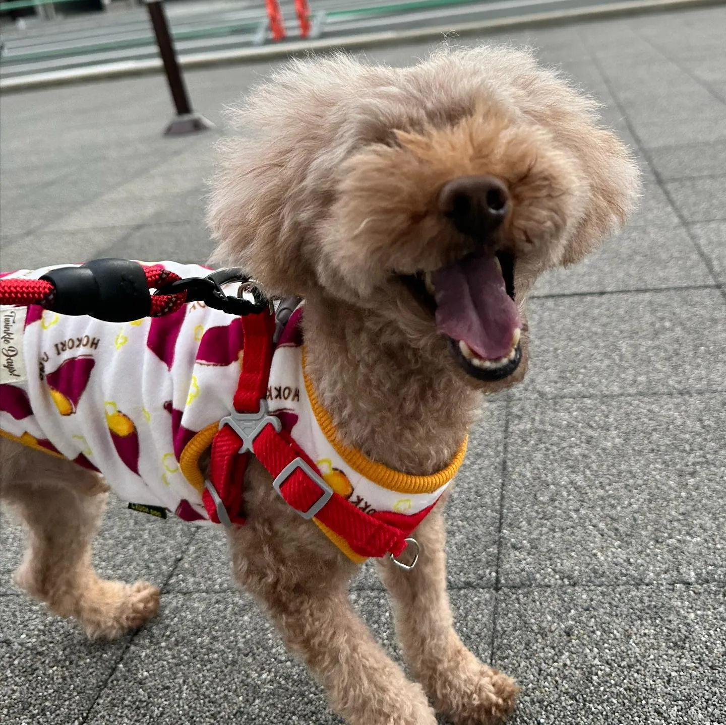 今日は専門学校dayでした🏫