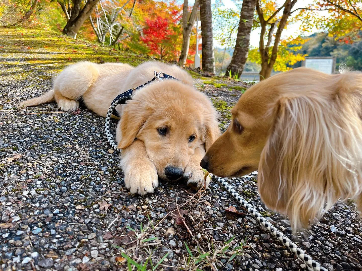 遠足にご参加頂いた皆様、お待たせしました❣️