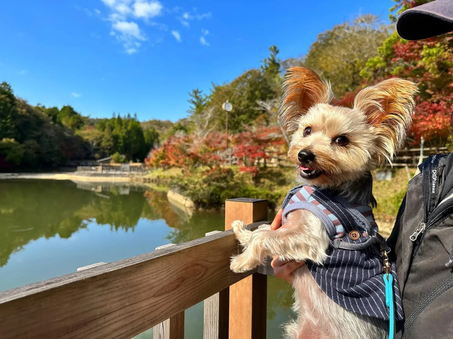 遠足にご参加頂いた皆様、お待たせしました❣️