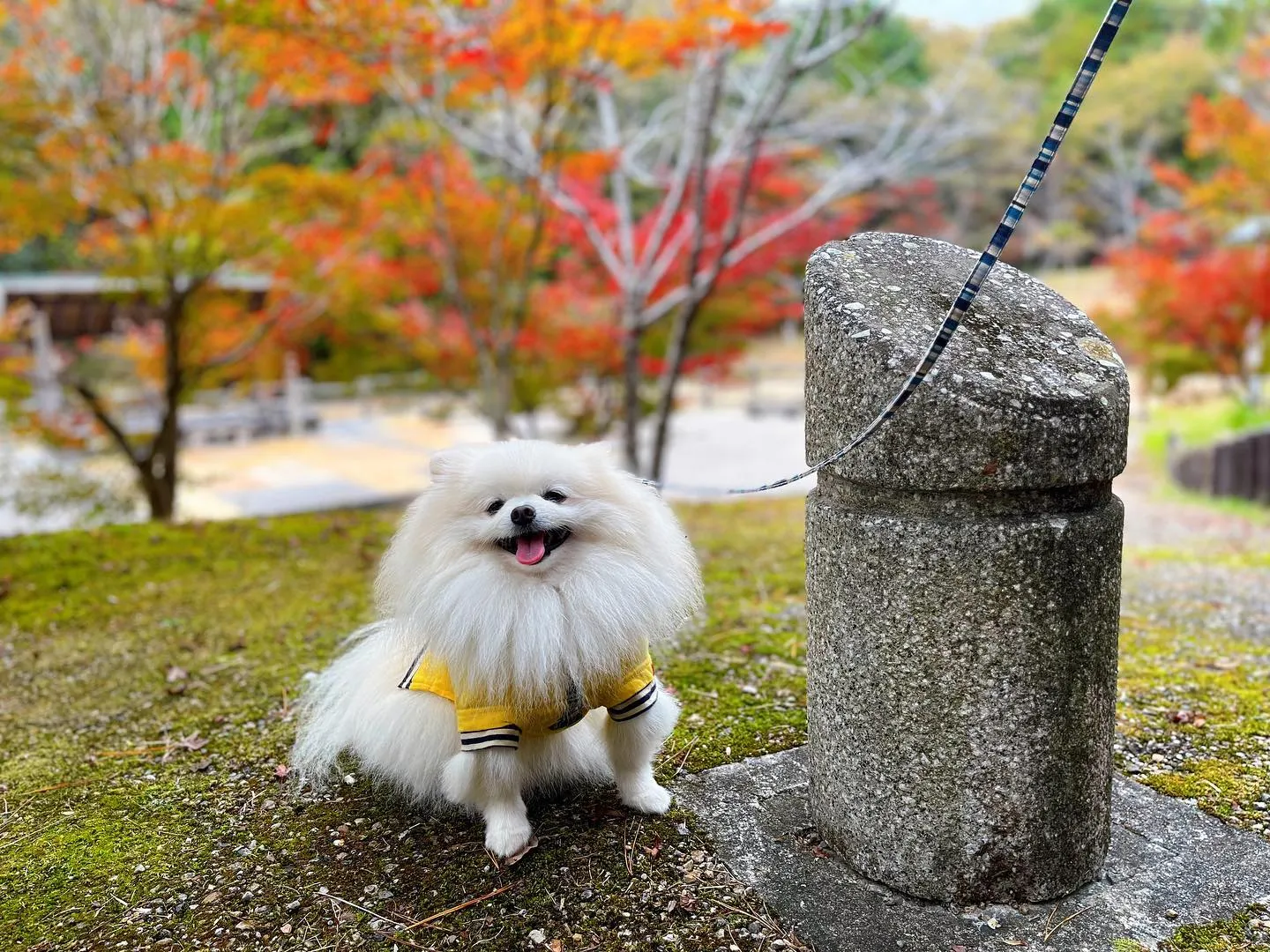 遠足にご参加頂いた皆様、お待たせしました❣️