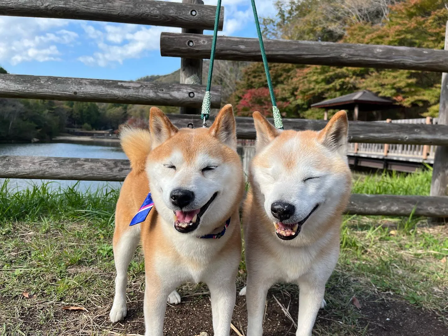 遠足にご参加頂いた皆様、お待たせしました❣️