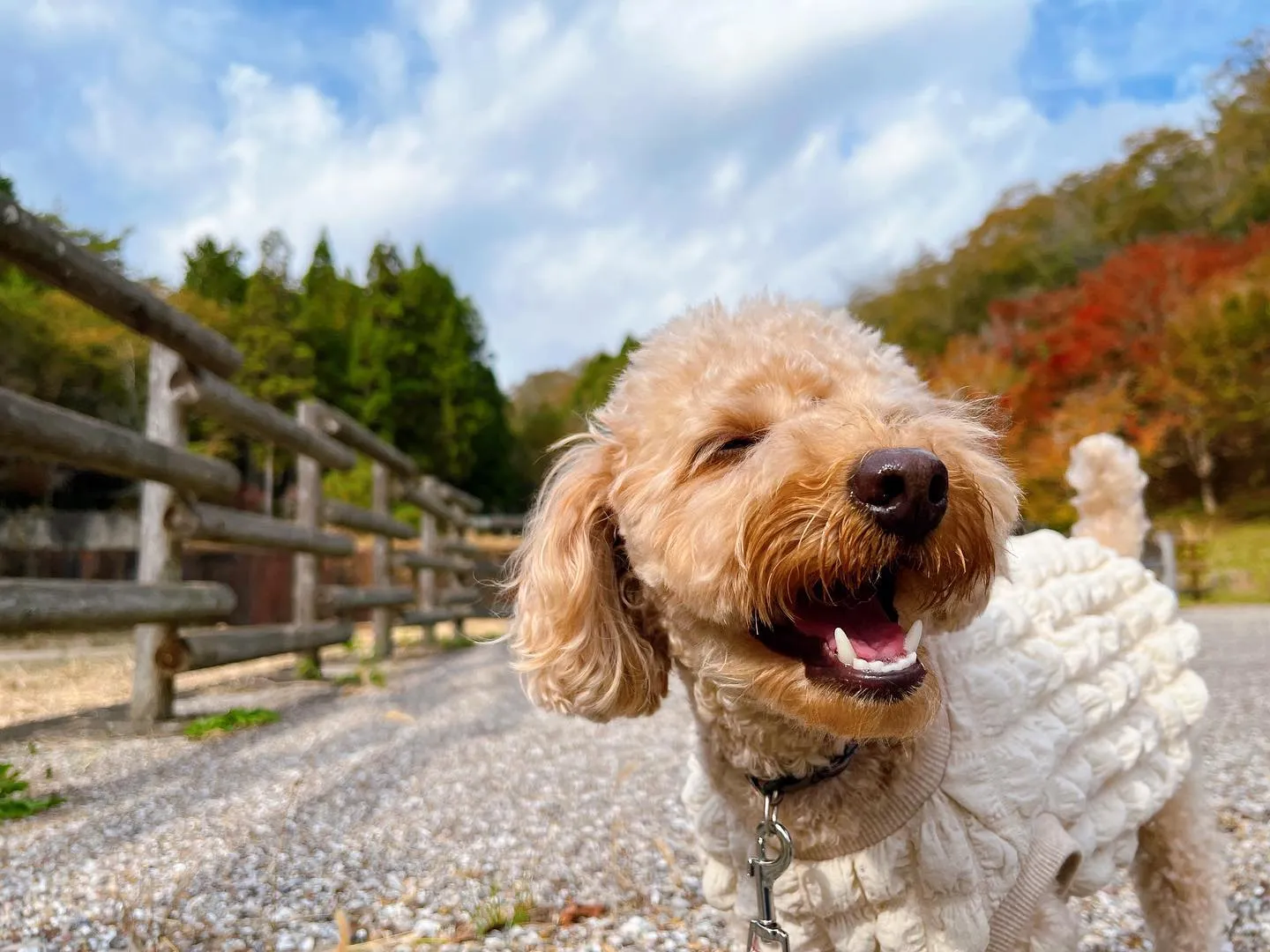 遠足にご参加頂いた皆様、お待たせしました❣️