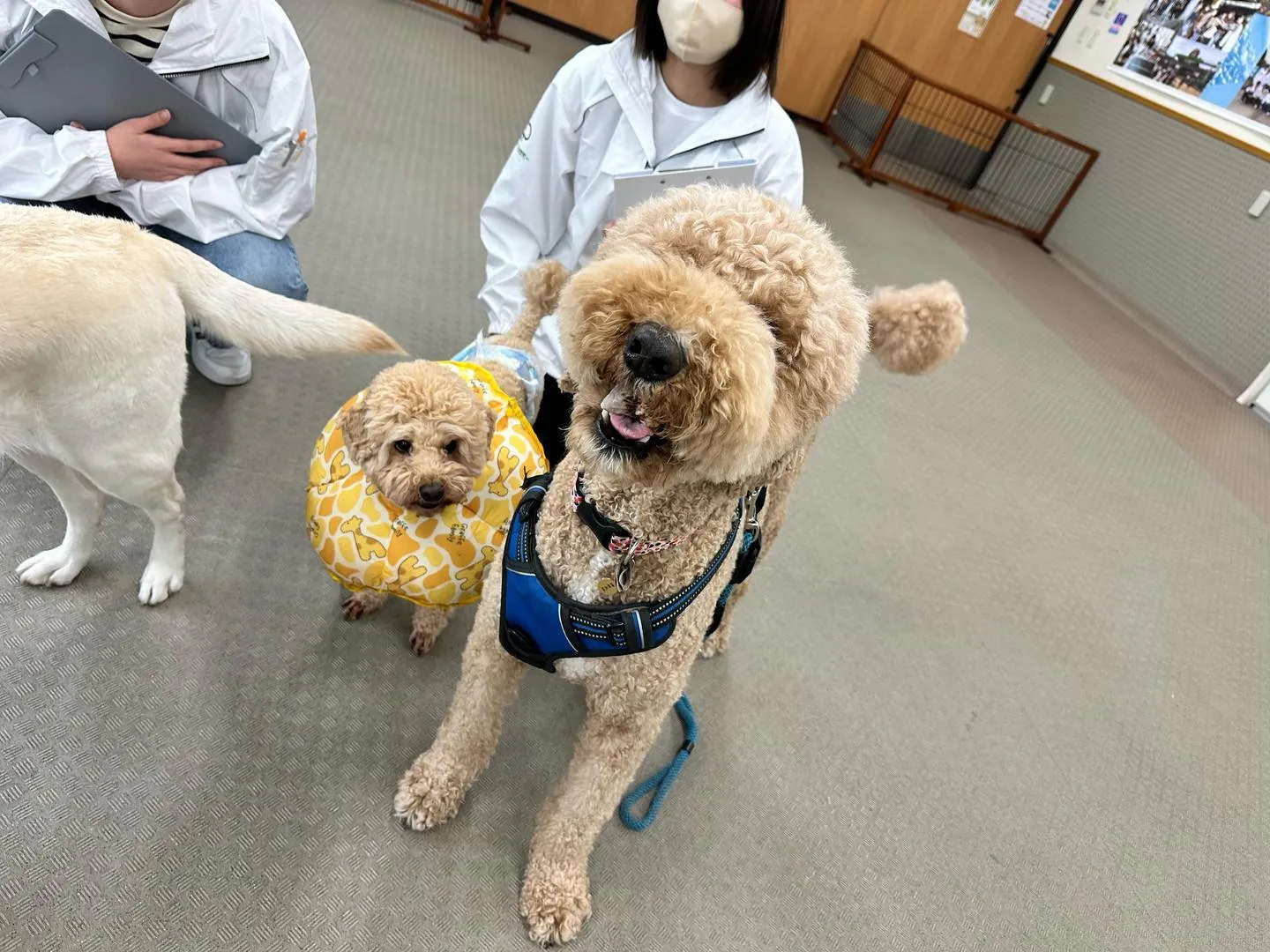 今日は専門学校dayでした🏫