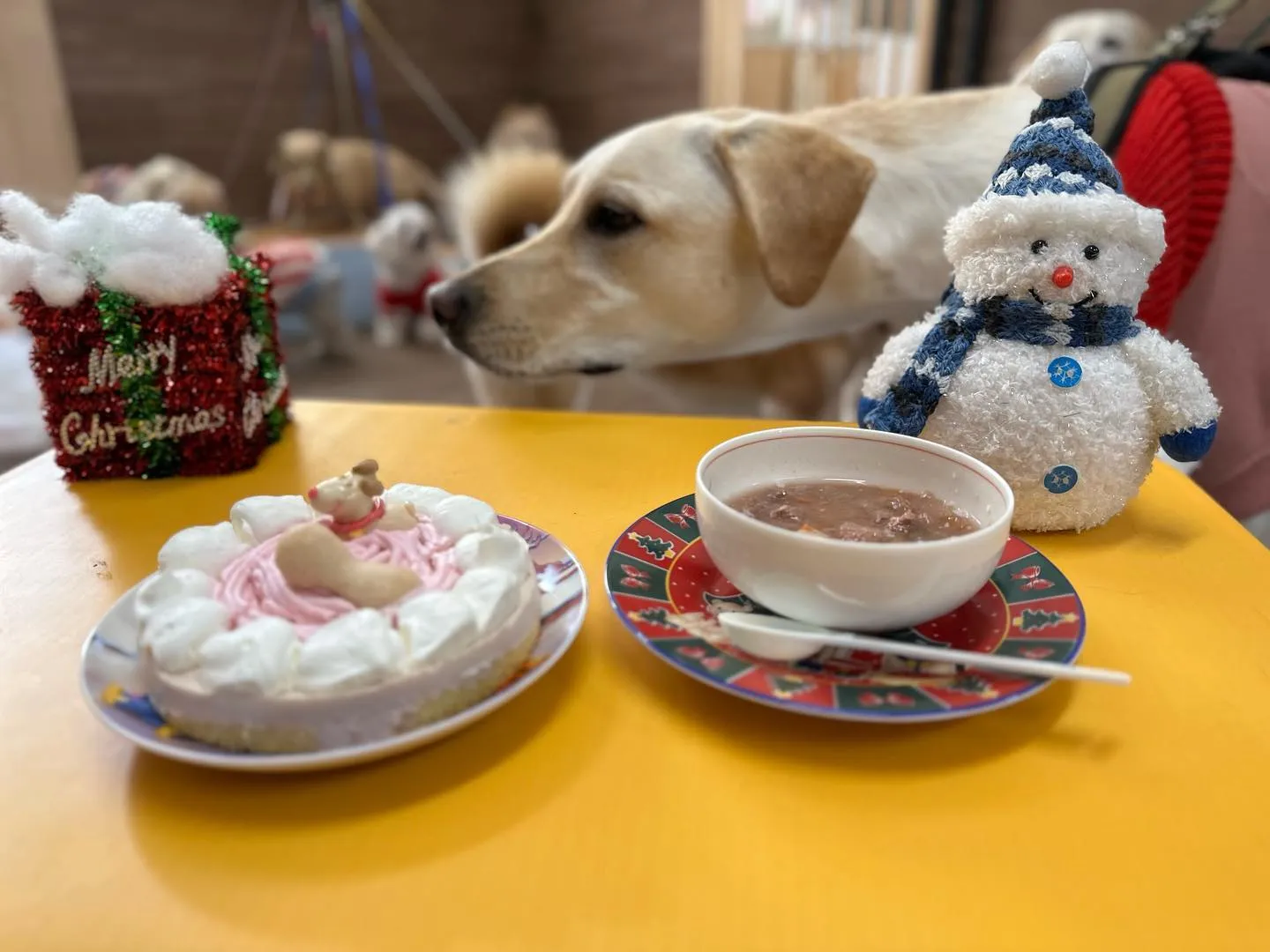 今日はクリスマスイベント開催日でした🎅🌟