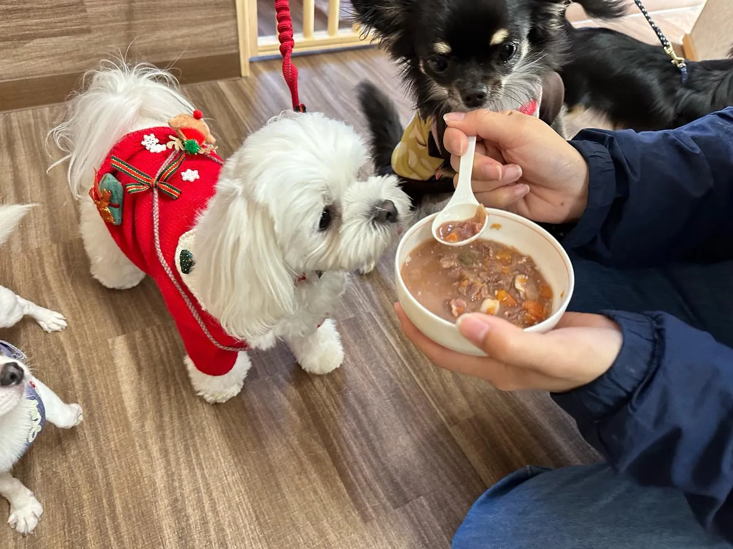 今日はクリスマスイベント開催日でした🎅🌟