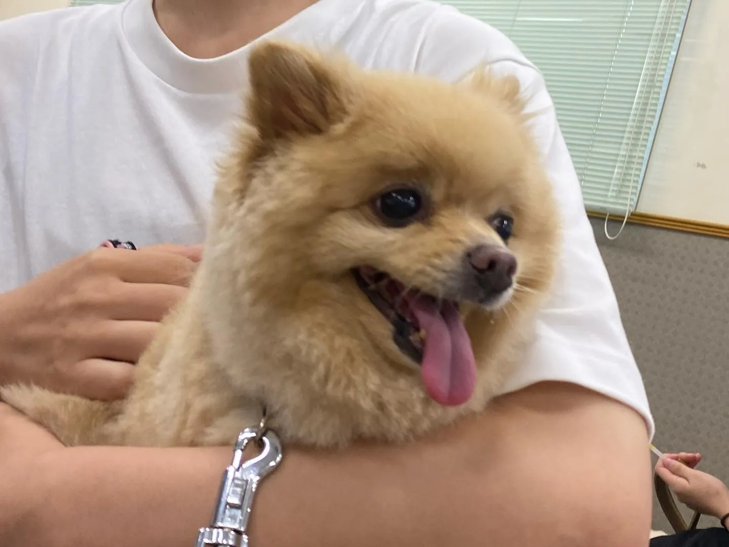 今日は年内最後の授業でした🏫