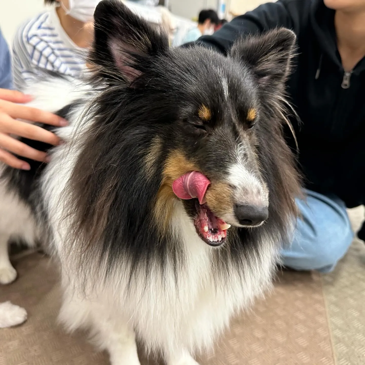 今日は専門学校dayでした🏫