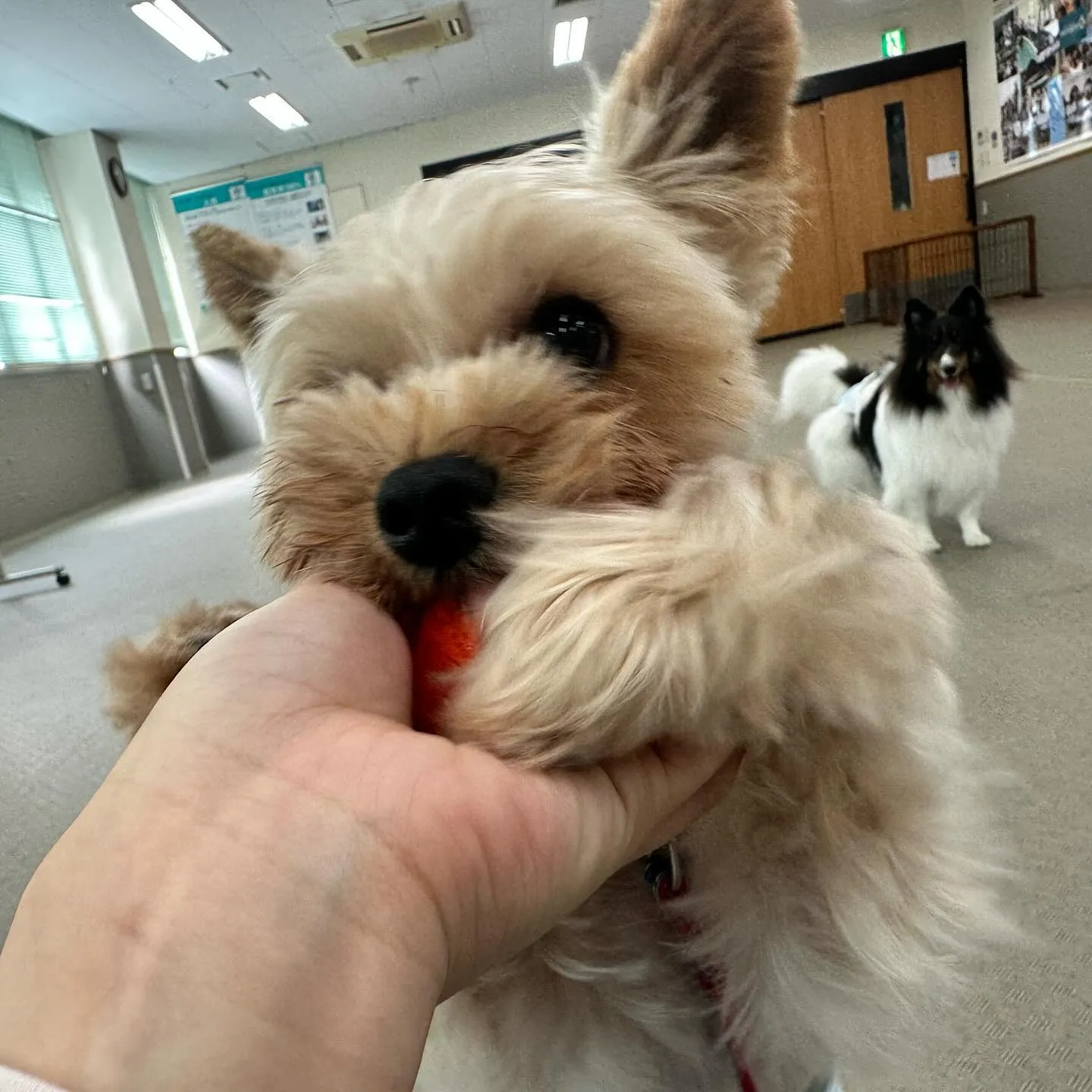 今日は専門学校day🏫