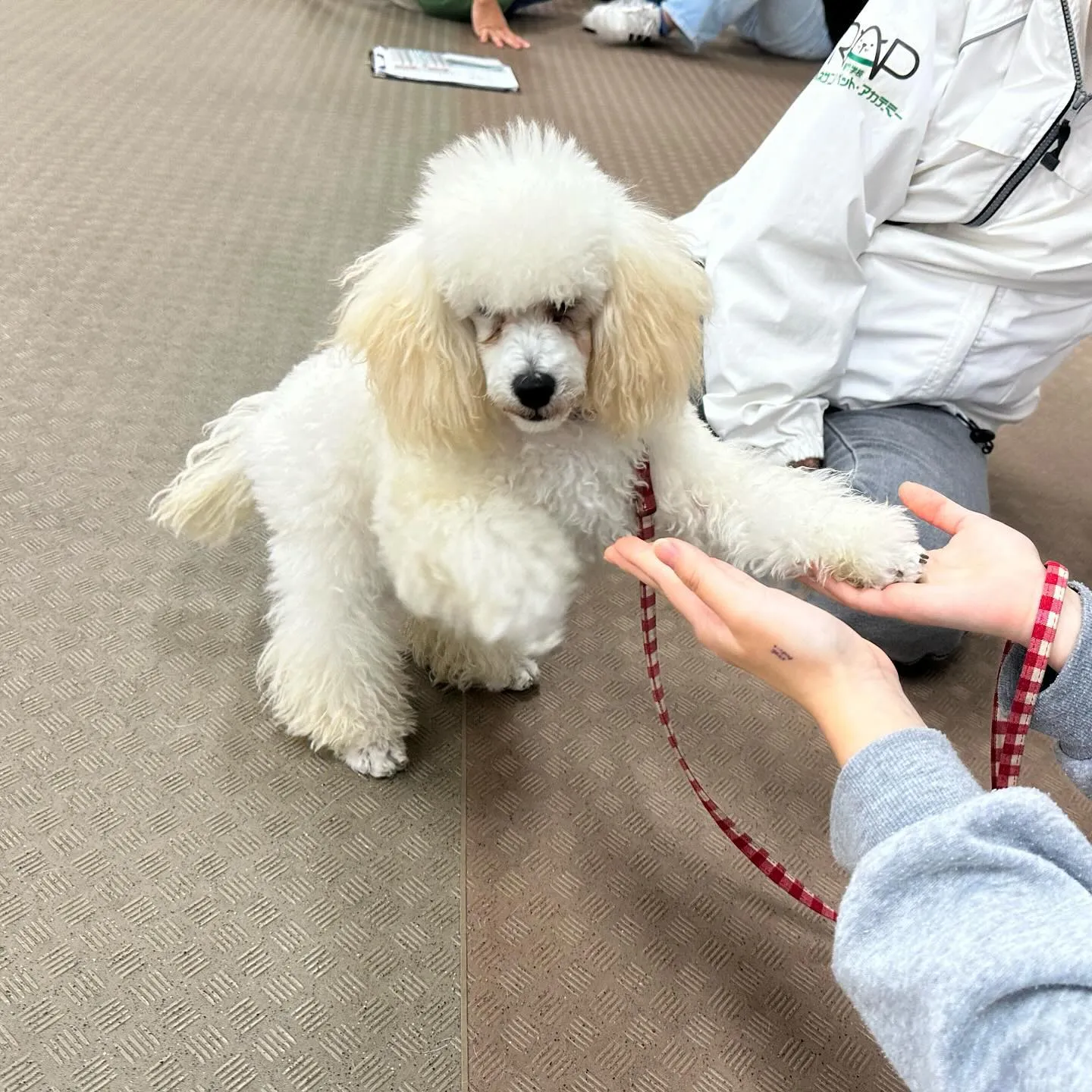 今日は専門学校day🏫