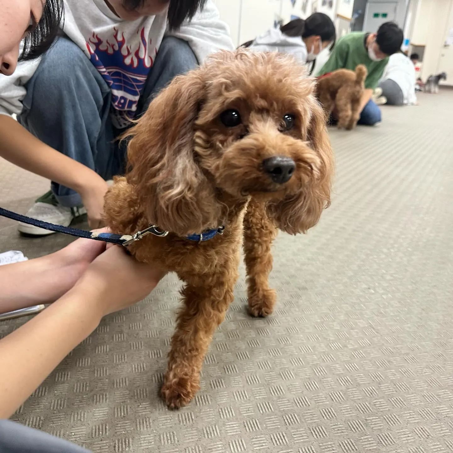 今日は専門学校day🏫