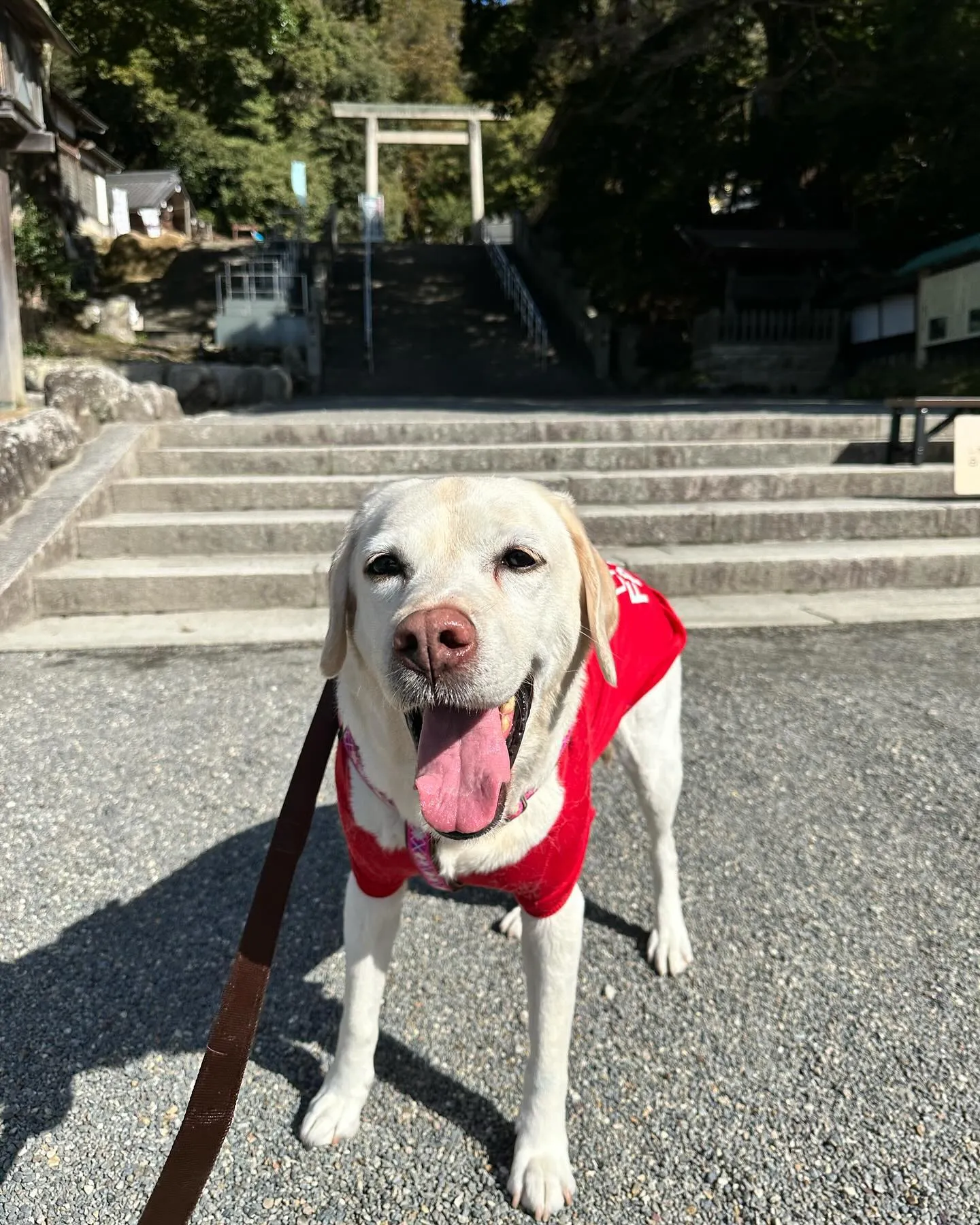 なつとのおでかけの動画を幼稚園Tubeにアップしました💖