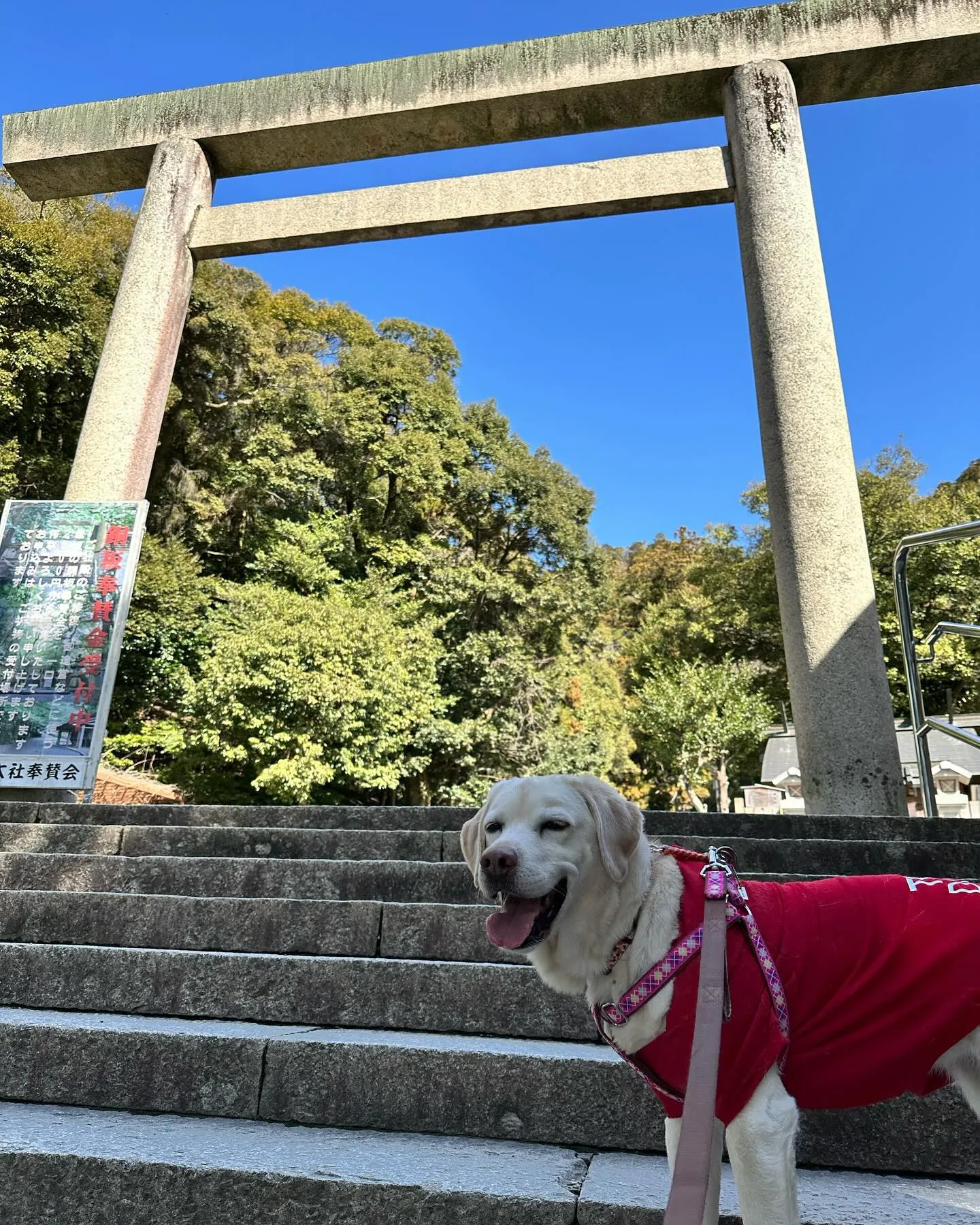 なつとのおでかけの動画を幼稚園Tubeにアップしました💖