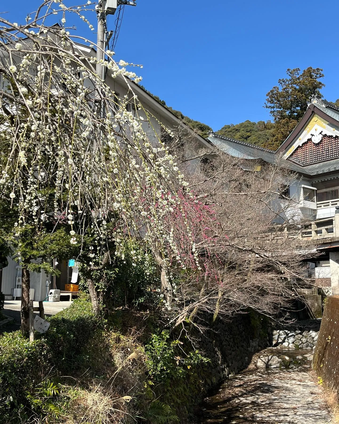 なつとのおでかけの動画を幼稚園Tubeにアップしました💖