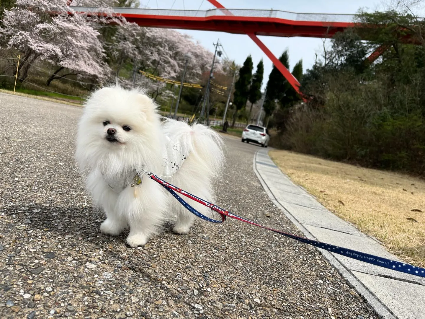 【春の遠足イベント ご予約受付開始のお知らせ】