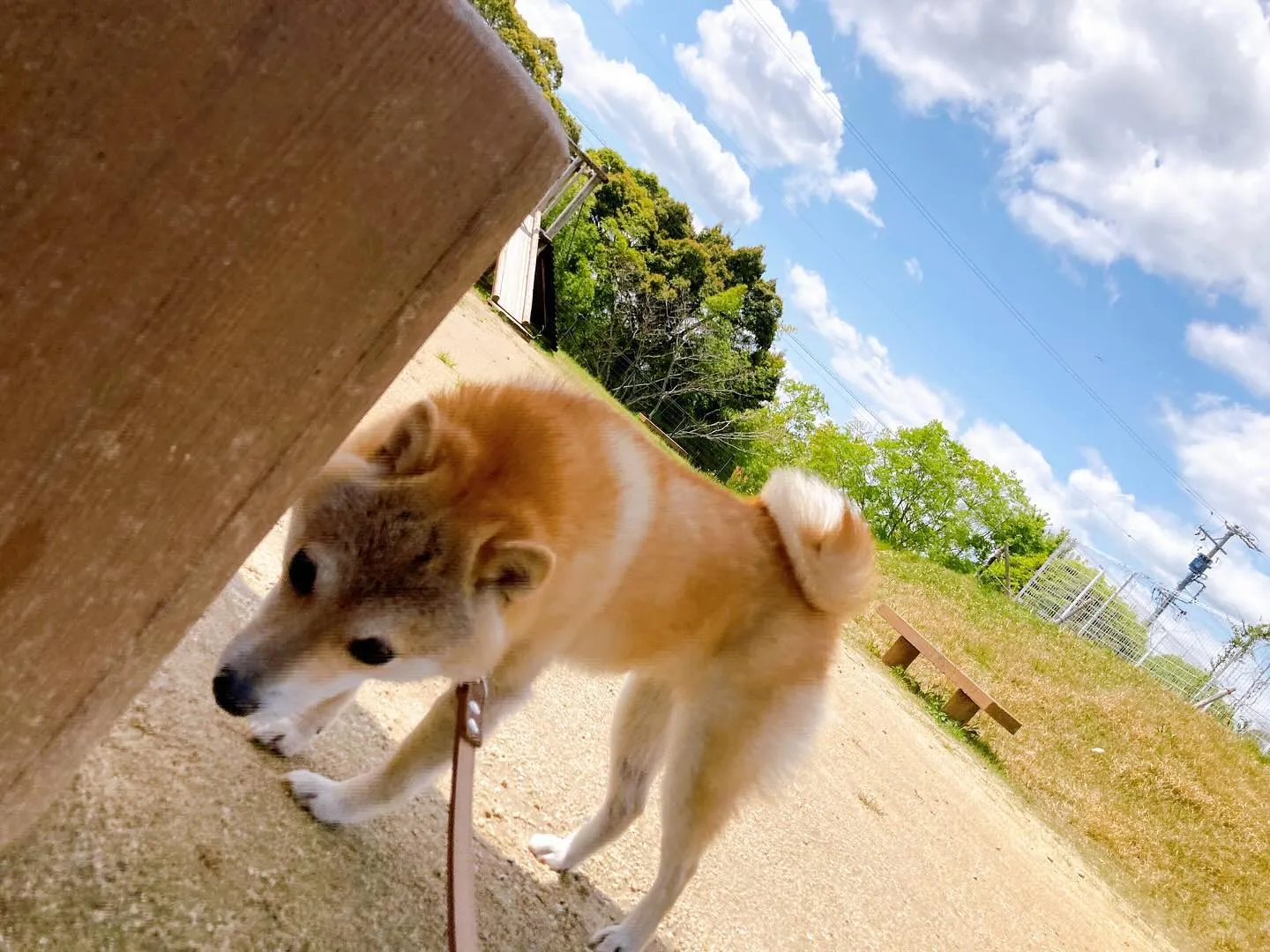 【春の遠足 予約受付終了のお知らせ】