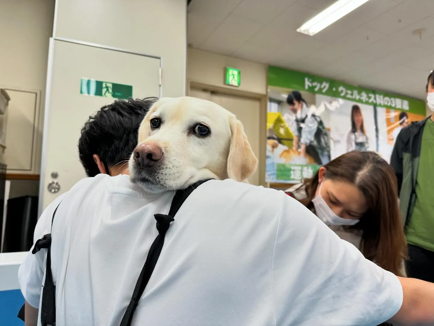 今日は専門学生たちの卒業式に列席していました🎓🌸