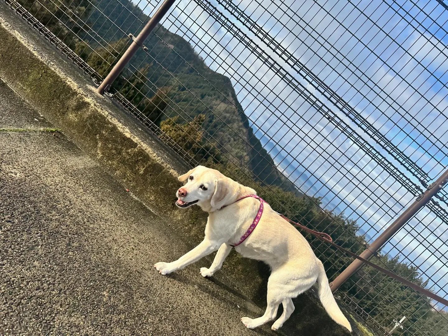 2月末になつを連れて和歌山に行ってきました🚗³₃