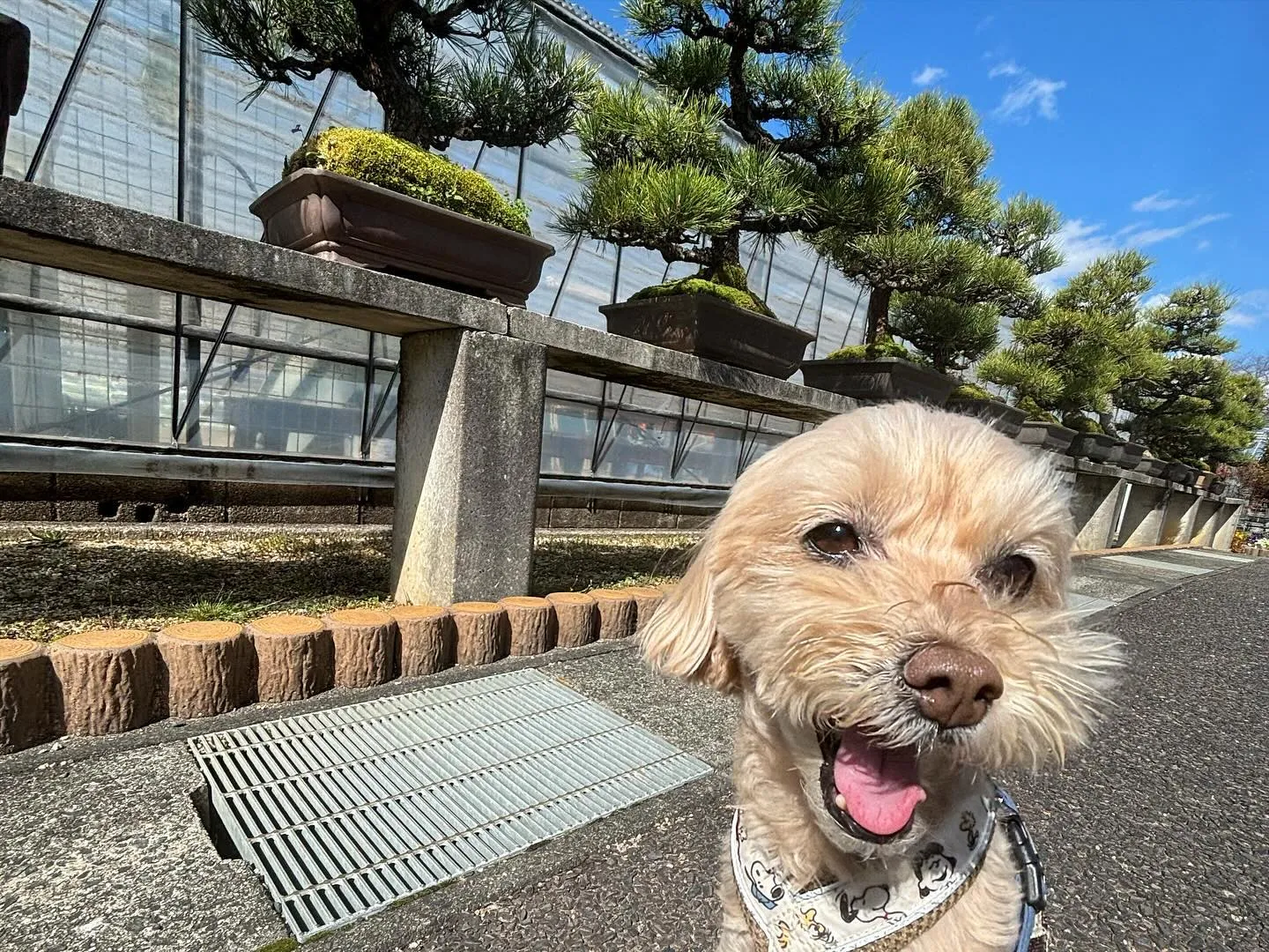 今日は春の遠足イベント開催日🌸