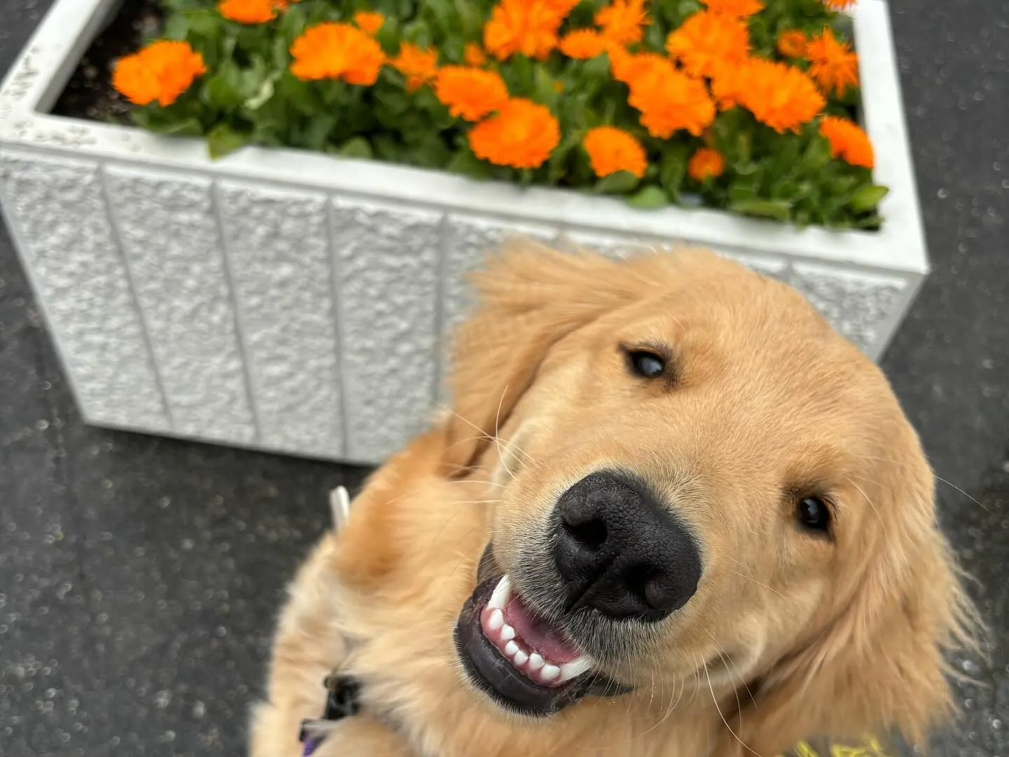 今日は春の遠足イベント開催日🌸