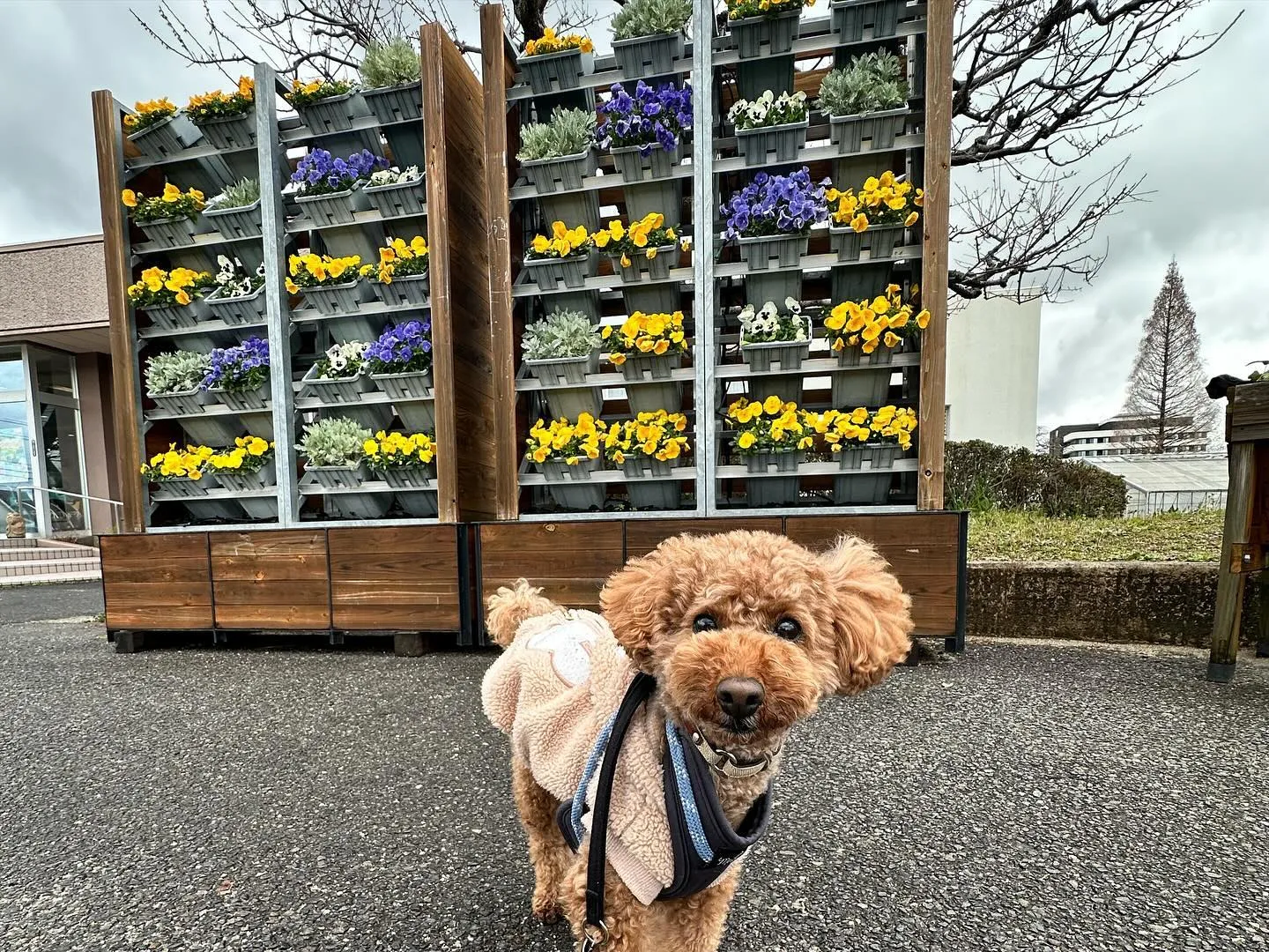 今日は春の遠足イベント開催日🌸