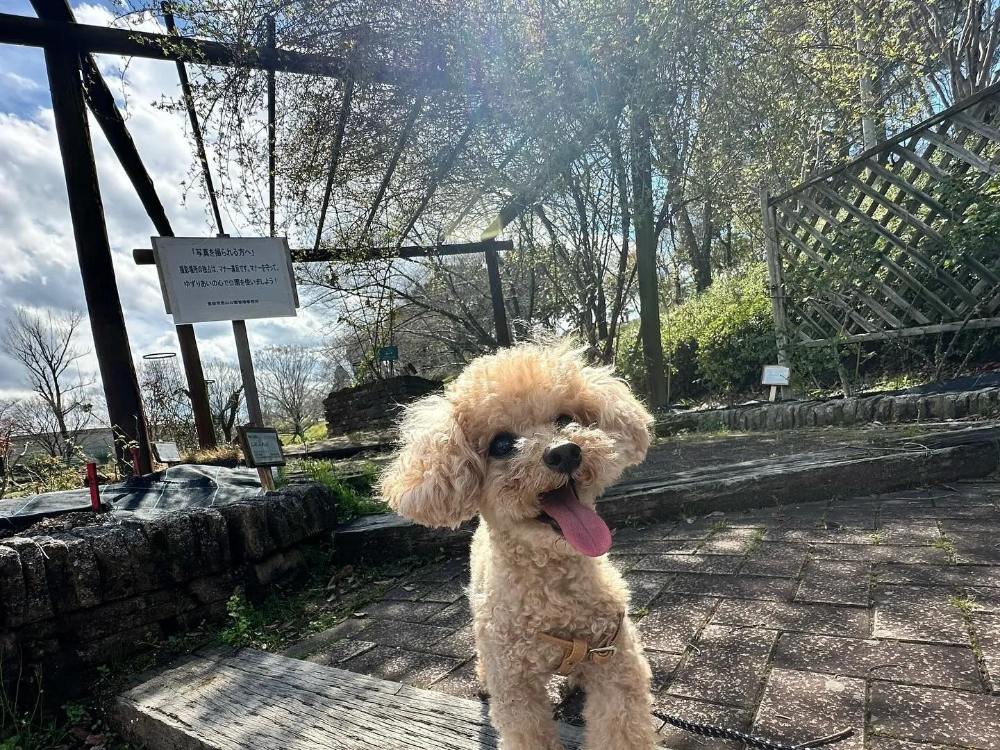 今日は春の遠足イベント開催日🌸