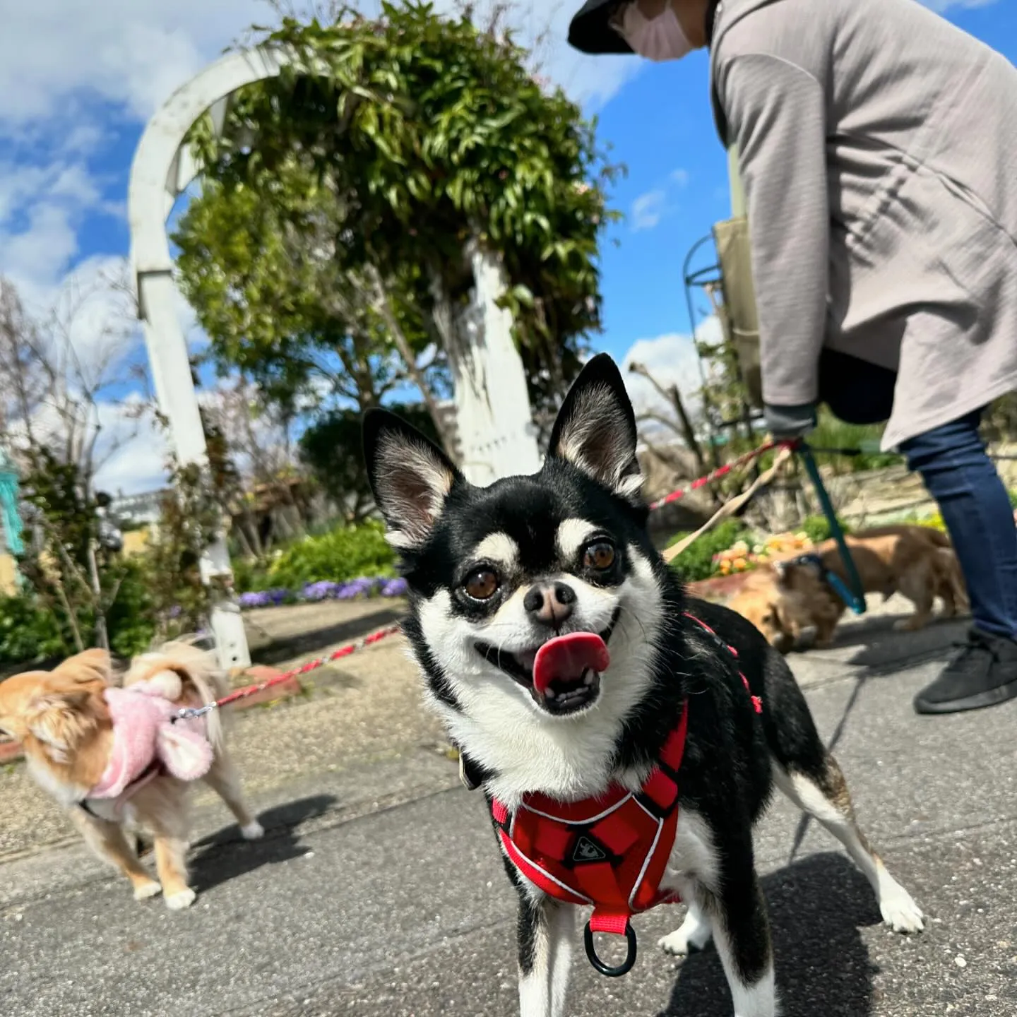 春の遠足イベントのアルバムが全員分完成しました～✨️✨️