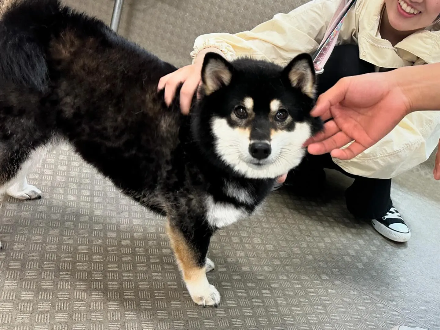 今日は専門学校dayでした🏫