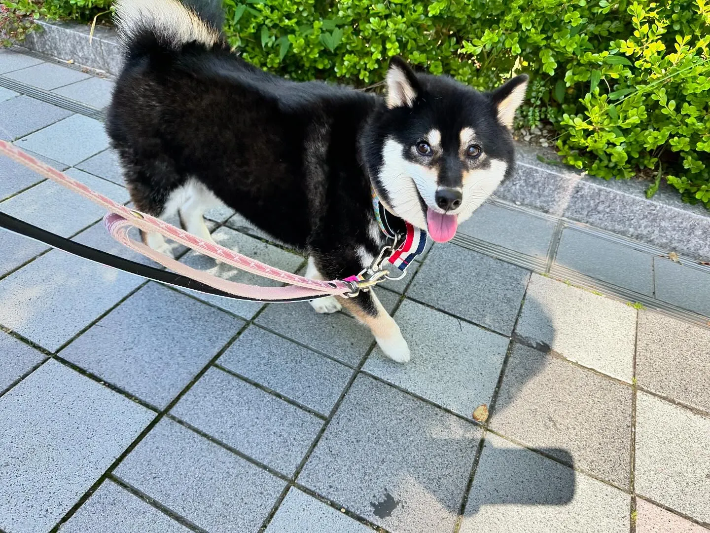 今日は専門学校dayでした🏫