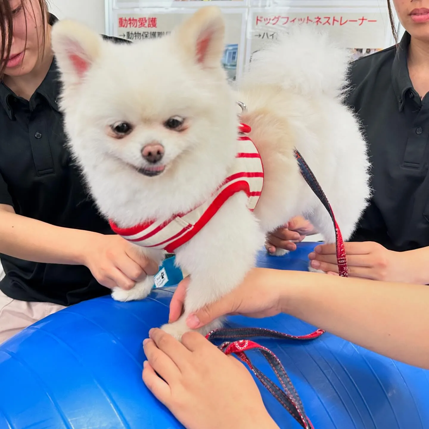 今日は専門学校dayでした🏫