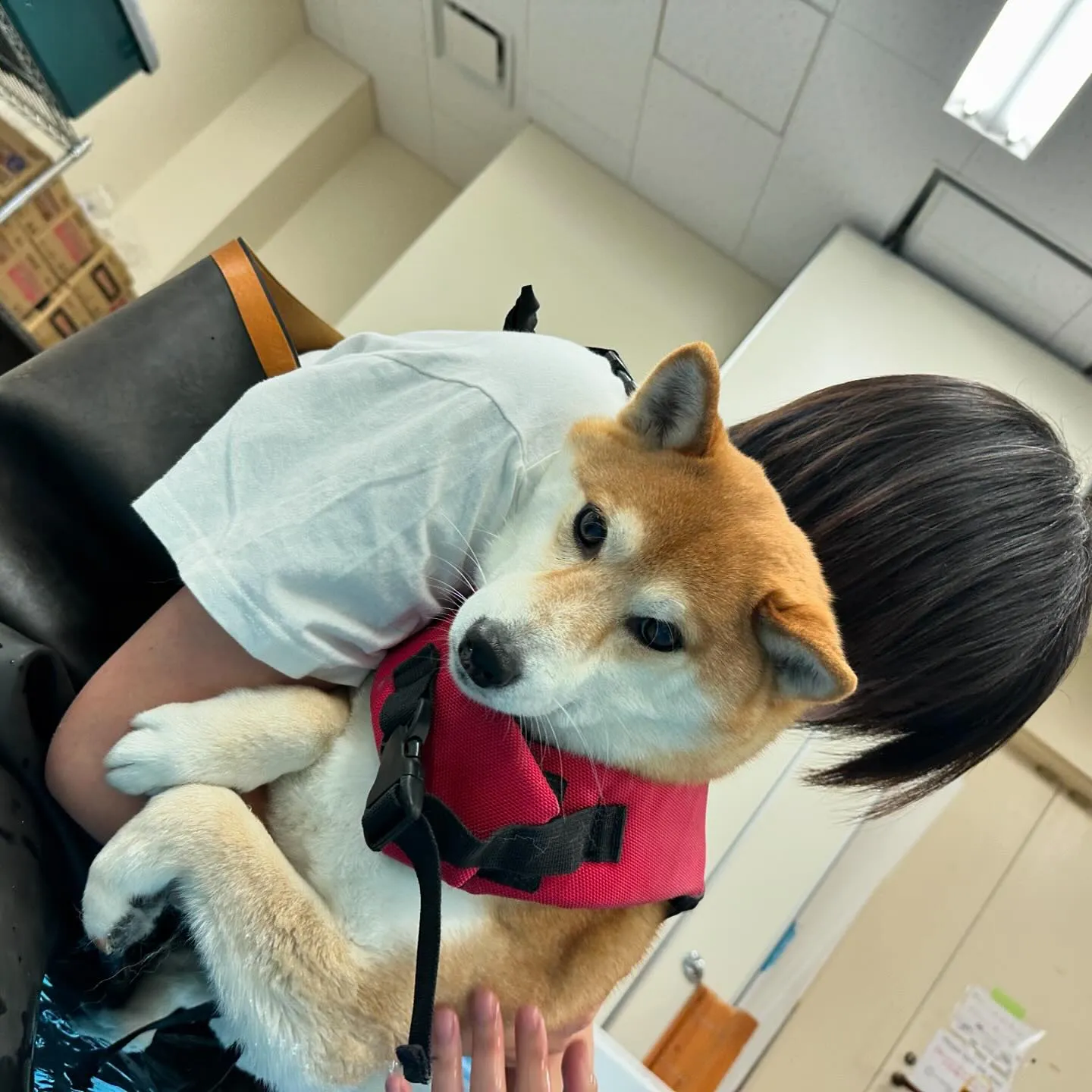 今日は専門学校dayでした🏫