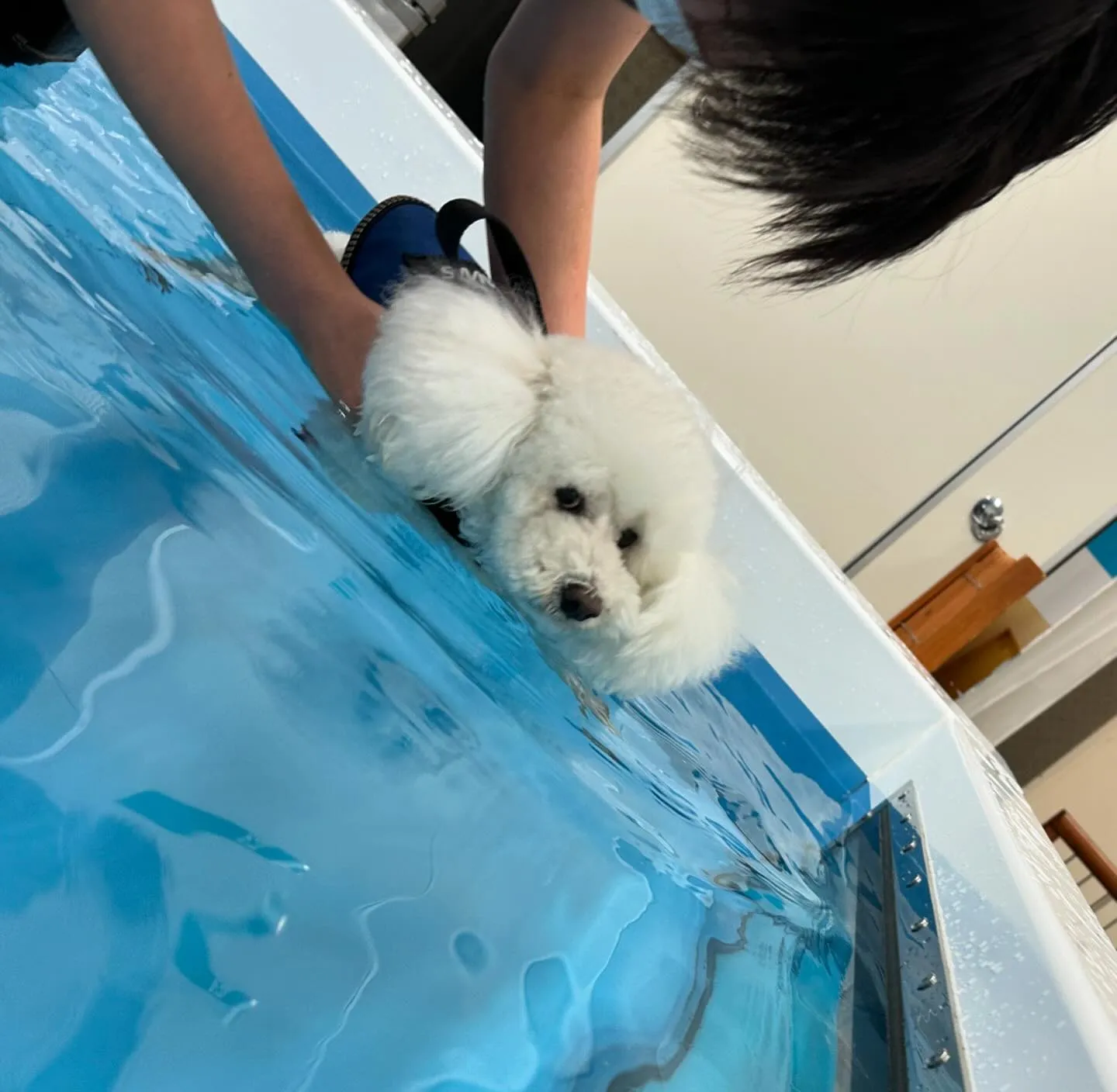 今日は専門学校dayでした🏫