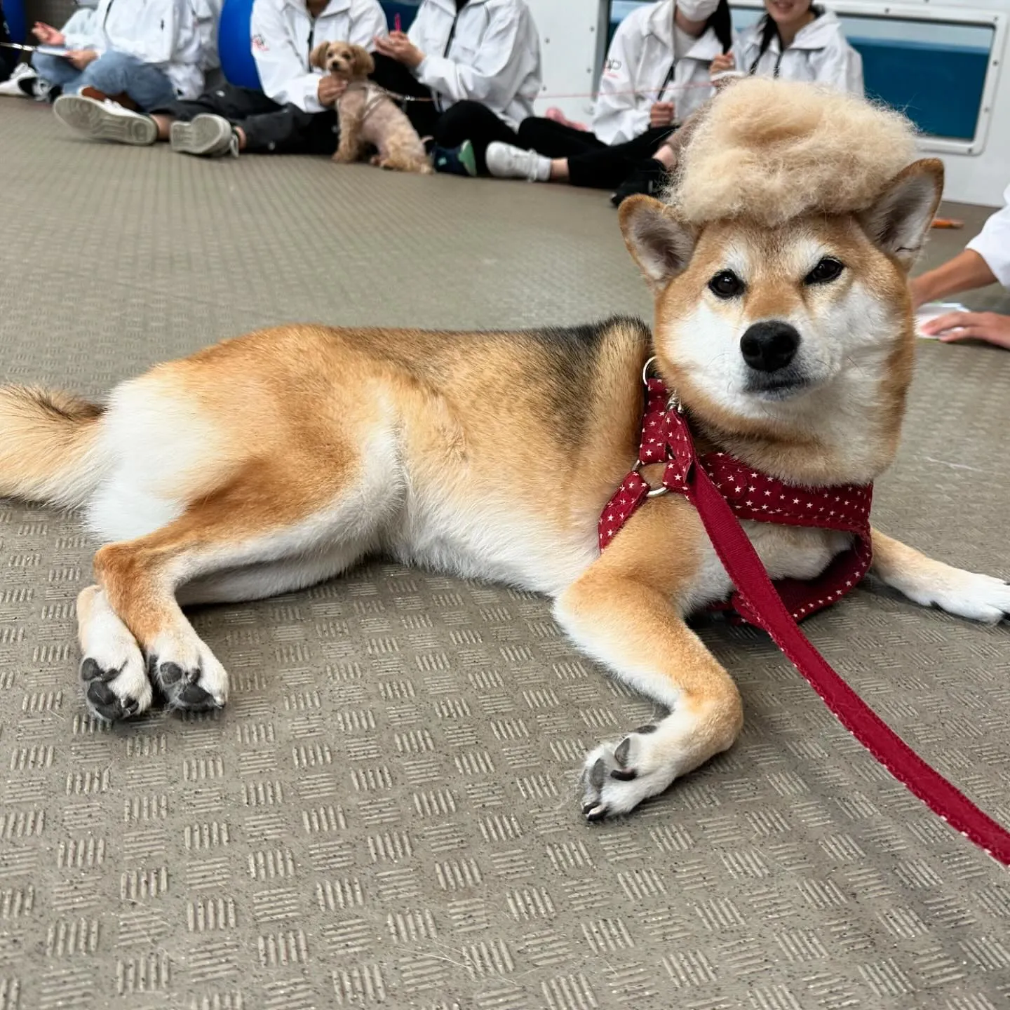 今日は専門学校dayでした🏫