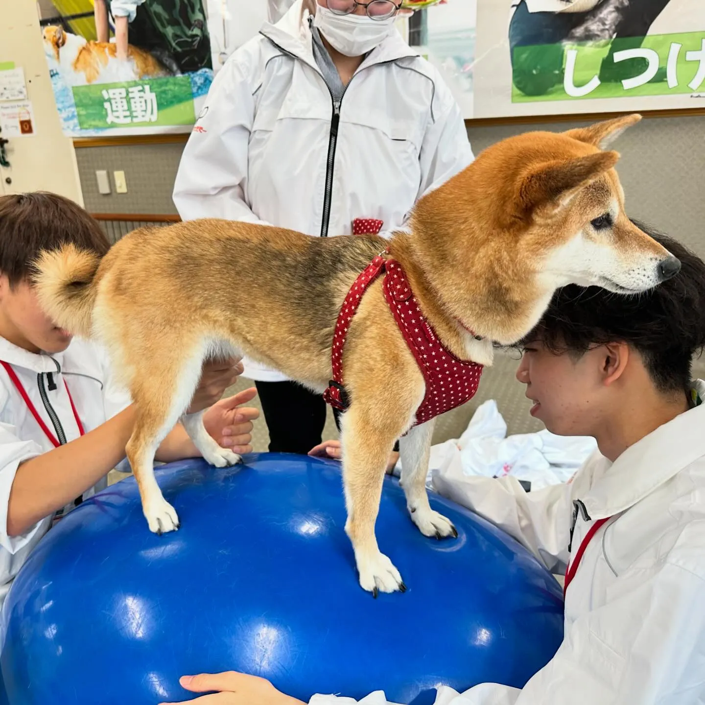 今日は専門学校dayでした🏫