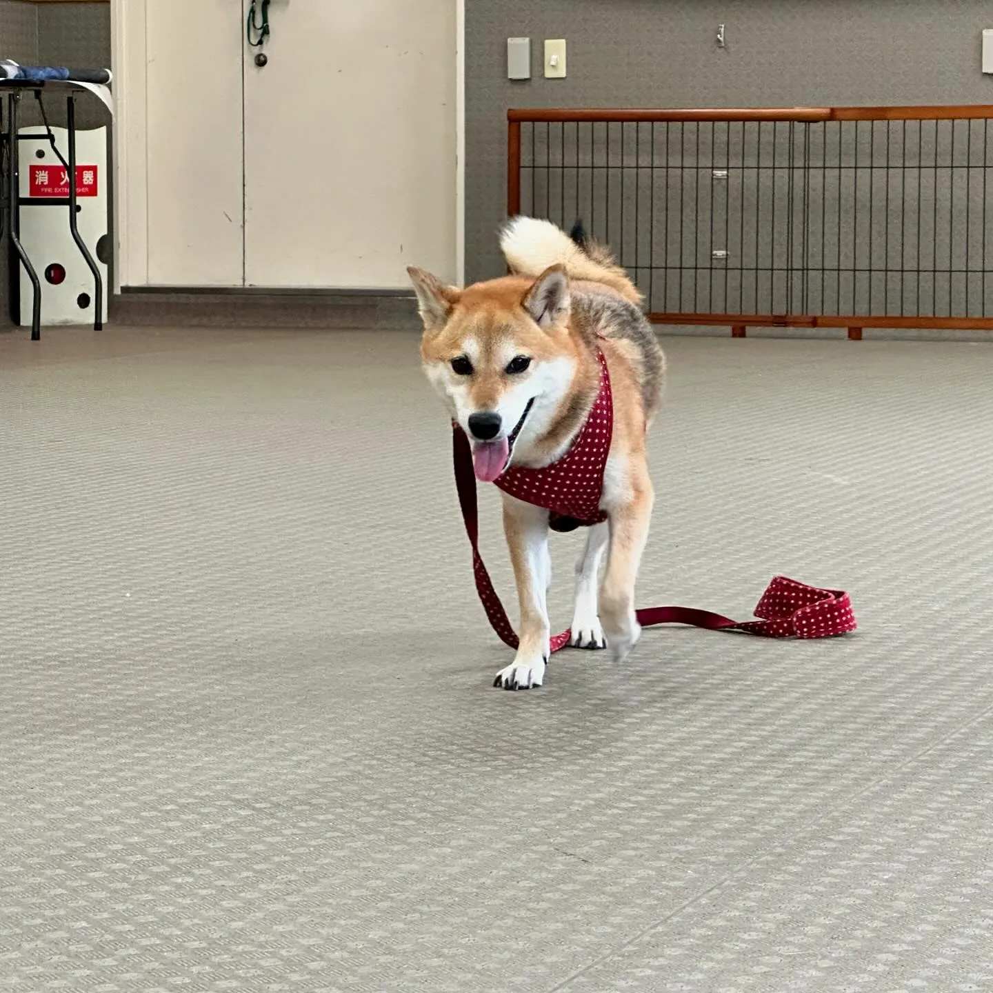 今日は専門学校dayでした🏫