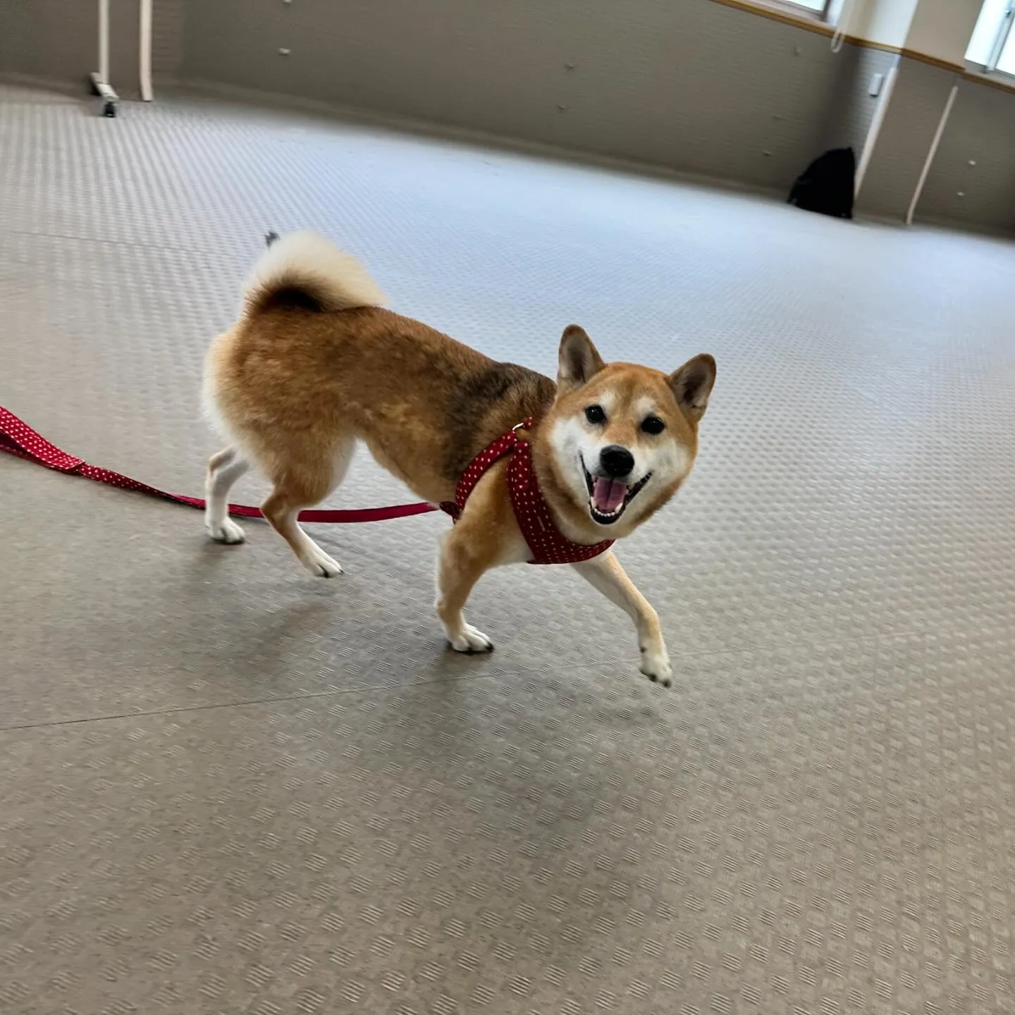 今日は専門学校dayでした🏫