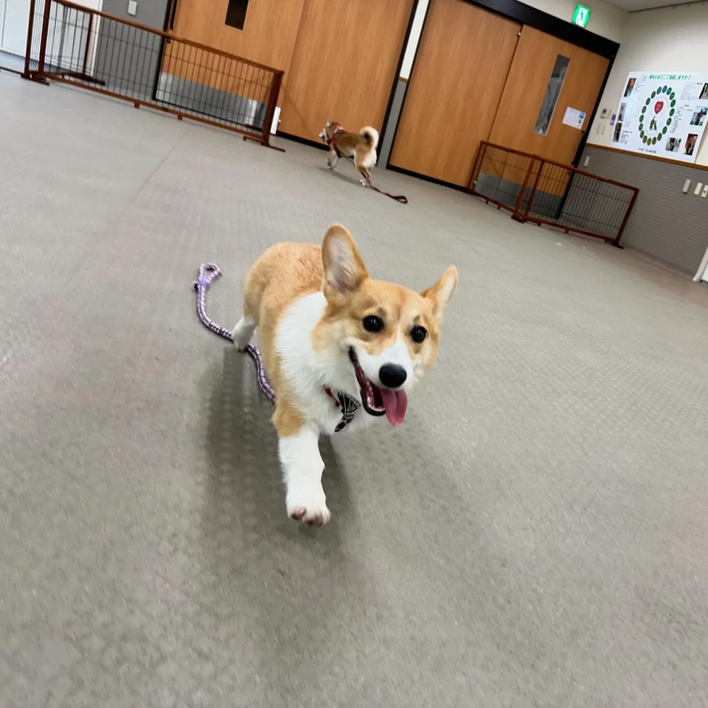 今日は専門学校dayでした🏫