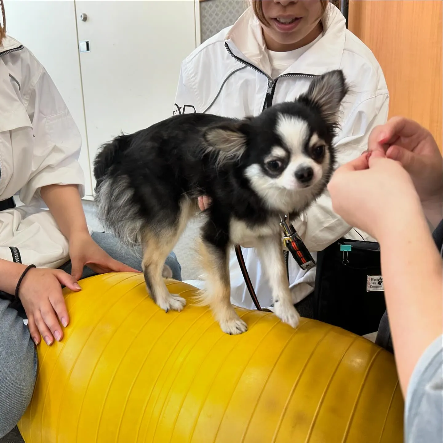 今日は専門学校dayでした🏫