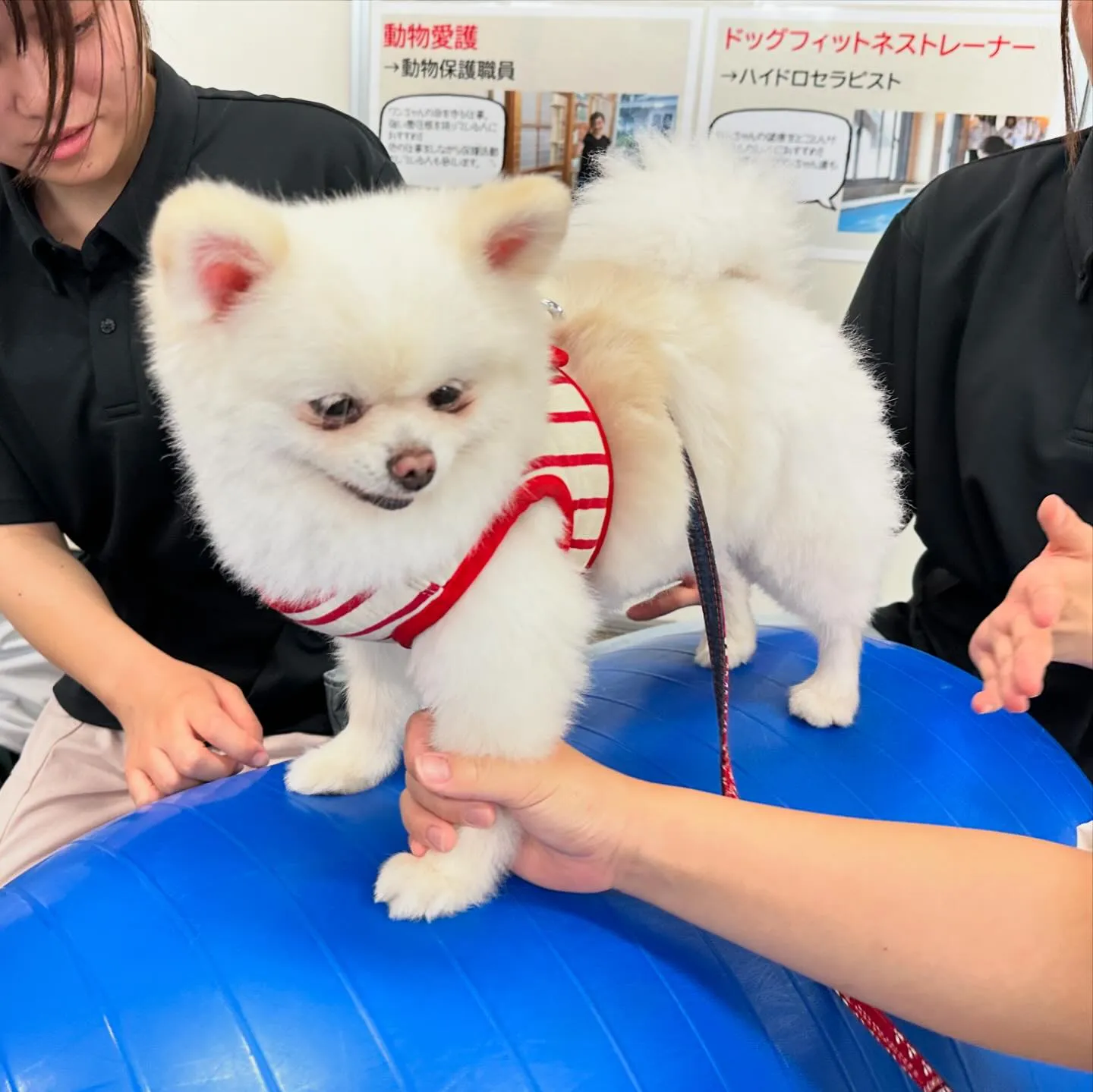 今日は専門学校dayでした🏫