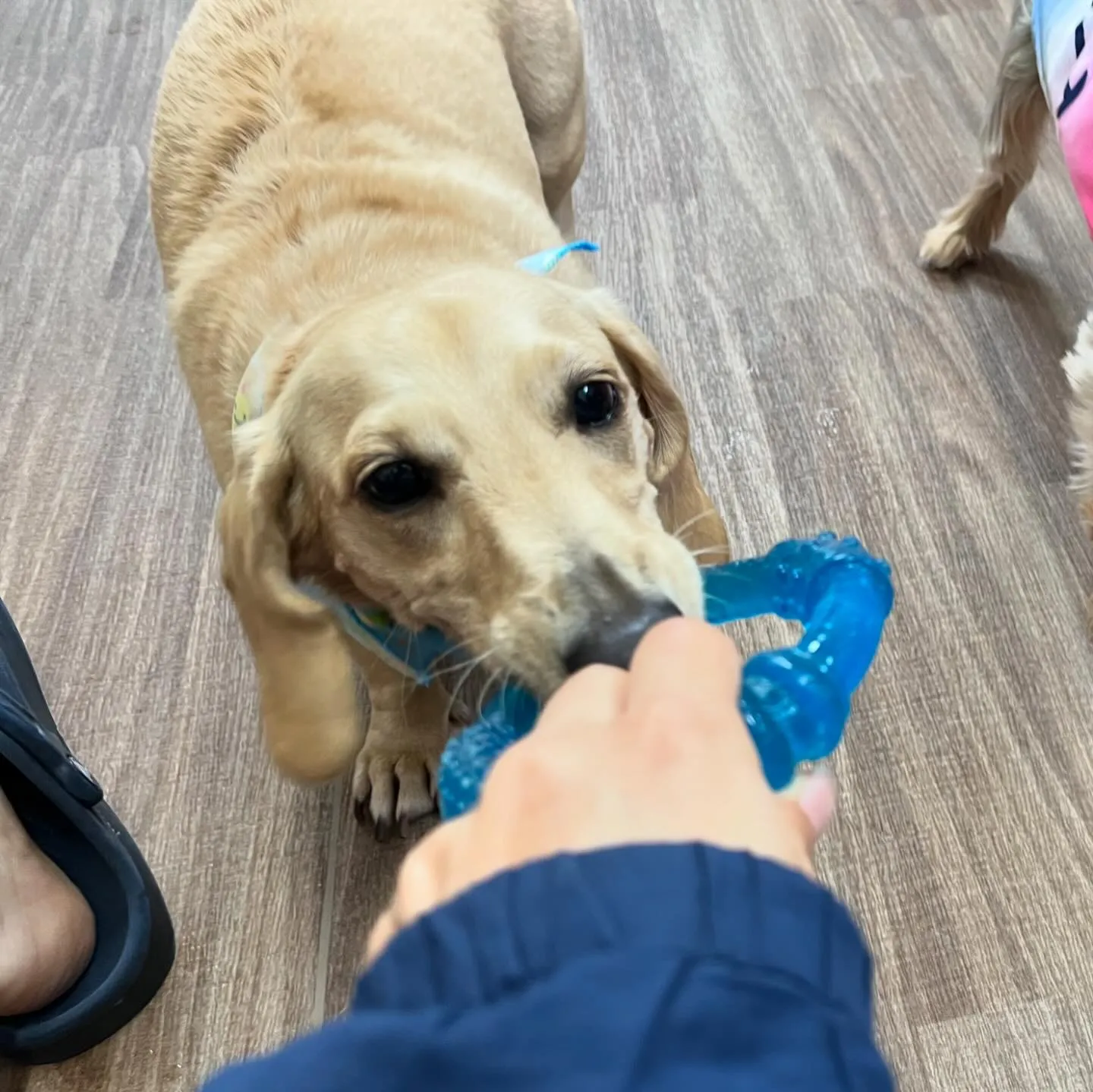 おかげさまで1泊2日の家族旅行、楽しんでまいりました🌼